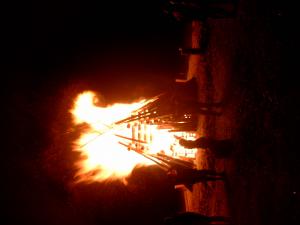 TRAVELER DIGITAL CAMERA