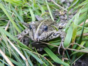 20140731-20140810 Sommerlager Schwoerstadt image049