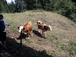 20140731-20140810 Sommerlager Schwoerstadt image060