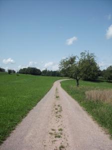 20140731-20140810 Sommerlager Schwoerstadt image061