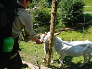 20140731-20140810 Sommerlager Schwoerstadt image063