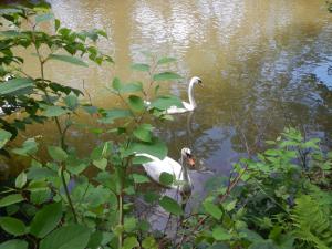 20140731-20140810 Sommerlager Schwoerstadt image073