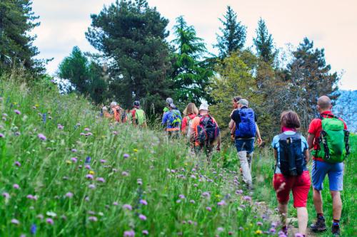 Group of hikers on a hill trails