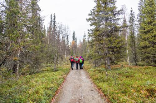 hikers-on-a-hike-2022-10-31-23-36-44-utc